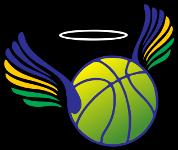 圣贝尔纳多女篮