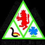 佛斯特费德联后备队